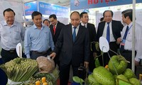 응웬쑤안푹 베트남 총리, 2018년 띠엔장 성 투자 촉진 회의 참가