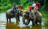 Yok Don국립공원, 코끼리 승마 관련 활동 중단
