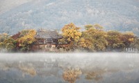 베트남 사진작가의 사진을 통해 바라본 한국 가을의 아름다움