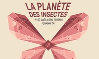 “우리 주변의 곤충 세계”영화제