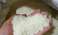 메콩 델타 지역 쌀 생산 소비 촉진 회의