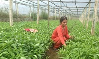 베트남 농민회와 국제농업개발기금 간 협력결과 공유워크숍