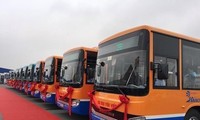 하동과 노이바이 공항을 연결하는 버스 노선 운영