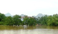 Thành lập 2 đoàn công tác trực tiếp ứng phó với mưa lũ tại các tỉnh Trung Bộ