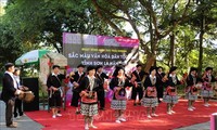 Chương trình trải nghiệm “Sắc màu văn hóa dân tộc Dao” thu hút công chúng