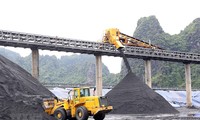 Quảng Ninh bốc rót những tấn than đầu tiên năm 2020