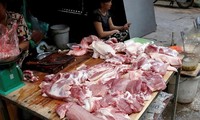 Một số doanh nghiệp đã giảm giá thị lợn