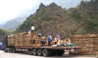Cửa khẩu quốc tế Thanh Thủy xuất những lô hàng đầu tiên năm 2020
