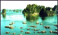 Teluk Halong resmi menerima gelar Keajaiban  Alam  dunia yang baru .