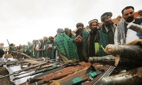 Afghanistan membasmi dan menangkap banyak pembangkang pasukan Taliban
