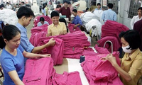 Cabang tekstil , produk tekstil Vietnam menyerap 485 proyek FDI