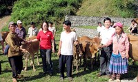 Pemerintah Vietnam memberikan bantuan keuangan kepada 23 kabupaten miskin.