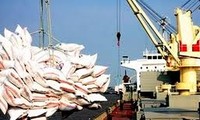 Vietnam  mengekspor  300.00 ton beras pertahun ke Ghine