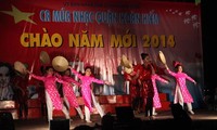Vietnam dengan gembira merayakan Tahun Baru 2014