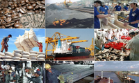 Pengumuman Laporan  tahunan Ekonomi Vietnam-tahun 2014