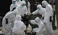 Tiongkok menemukan pasien H7N9 pada manusia  yang pertama 