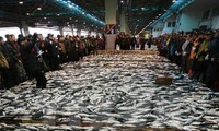 Republik Korea dan Jepang  mencapai permufakatan tentang penangkapan ikan 