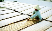 Produksi mihun di Vietnam 