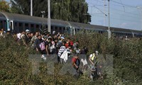 Angka rekor 280.000 orang migran tiba di Jerman pada September
