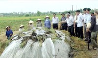Penjelasan mengenai penanganan jerami pada masa panenan di Vietnam