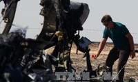 Pekerjaan investigasi di tempat kejadian jatuhnya pesawat Rusia di Mesir.