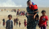 PBB memperingatkan tentang jumlah korban akibat perang di Irak