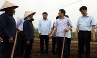 Deputi PM Vietnam, Vu Duc Dam melakukan kunjungan kerja di propinsi Bac Ninh