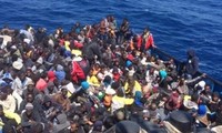 Akibat-akibat yang timbul setelah setahun menerima kaum migran