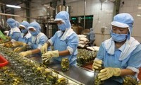 Les exportations vietnamiennes devraient augmenter de 13,8% en six mois
