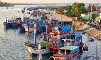 Le Vietnam sur la bonne voie pour faire lever le «carton jaune» sur la pêche illégale