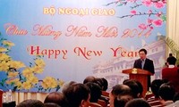 Фам Бинь Минь: пресса содействовала достижению успехов дипломатии в 2013 году