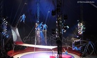Вьетнам завоевал золотую медаль на международном цирковом фестивале в Италии