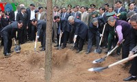 Генсек ЦК КПВ развернул движение посадки деревьев по случаю Нового года