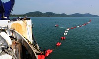 Во Вьетнаме введена в экслуатацию подводная кабельная линия напряжением до 110 кВ