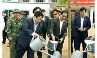 В провинции Туенкуанг открылся праздник посадки деревьев