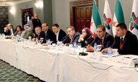 Сирийская оппозиция представит документ по созданию переходного правительства