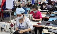 Сотрудничество между Вьетнамом и МОТ по обеспечению устойчивой занятости