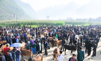 Базар рогатого скота в уезде Меовак провинции Хазянг