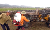 Во вьетнамских районах активизируются меры по борьбе с птичьим гриппом