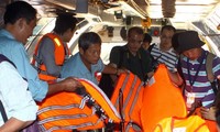 ИноСМИ высоко оценивают усилия Вьетнама в поиске пропавшего малайзийского самолёта