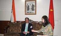 Завершились политические консультации и диалог по дипломатической стратегии между Вьетнамом и Индией