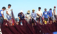 Рыбаки уезда Лишон выступают против установления Китаем буровой платформы в акватории Вьетнама