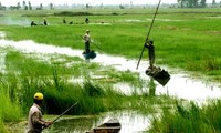 Активизация борьбы с климатическими изменениями в дельте реки Меконг