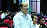 Вьетнамские депутаты обсуждали исправленный Закон об устройстве парламента