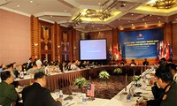 Вьетнам поддерживает активизацию сотрудничества по программе гумманитарного разминирования