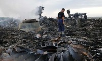 Трое вьетнамцев стали жертвами крушения малайзийского лайнера на Украине