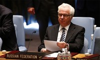 Россия представила СБ ООН свой проект резолюции по гибели малайзийского лайнера