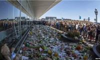 В Нидерландах начинается опознание погибших в крушении самолёта рейса MH17