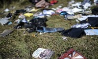 Нидерланды получили личные вещи погибших пассажиров рейса MH17