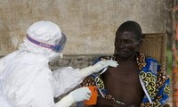 ВОЗ собрала экстренное заседание в связи с распространением лихорадки Эбола